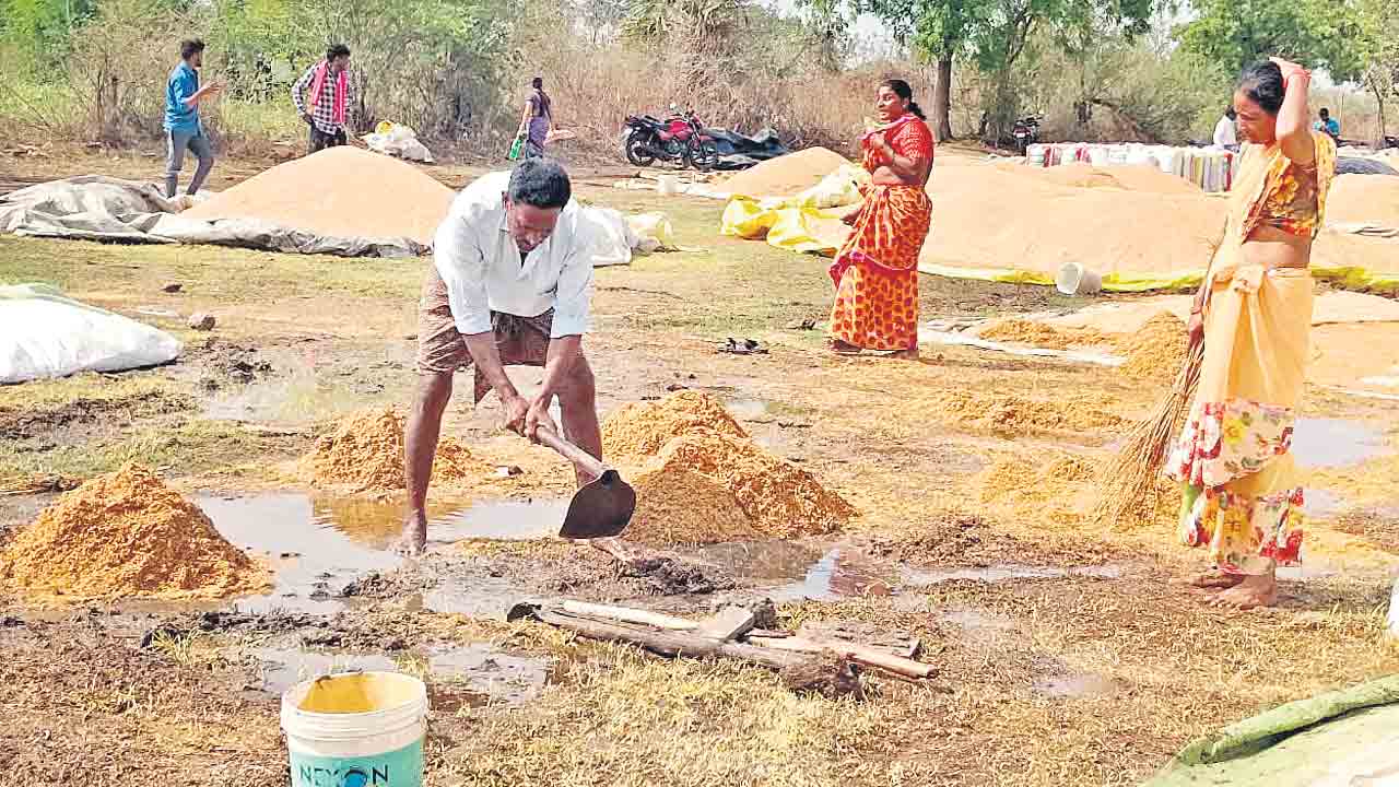 Paddy Procurement | సీఎం చెప్పినా ముందుకు సాగని కాంటా.. తడిసిన ధాన్యం కొనే దిక్కులేదు!