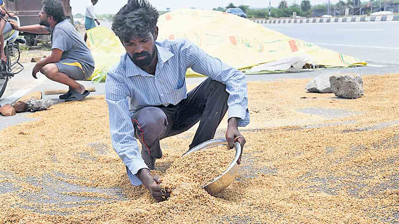 అకాల వర్షానికి దెబ్బతిన్న పంటలు