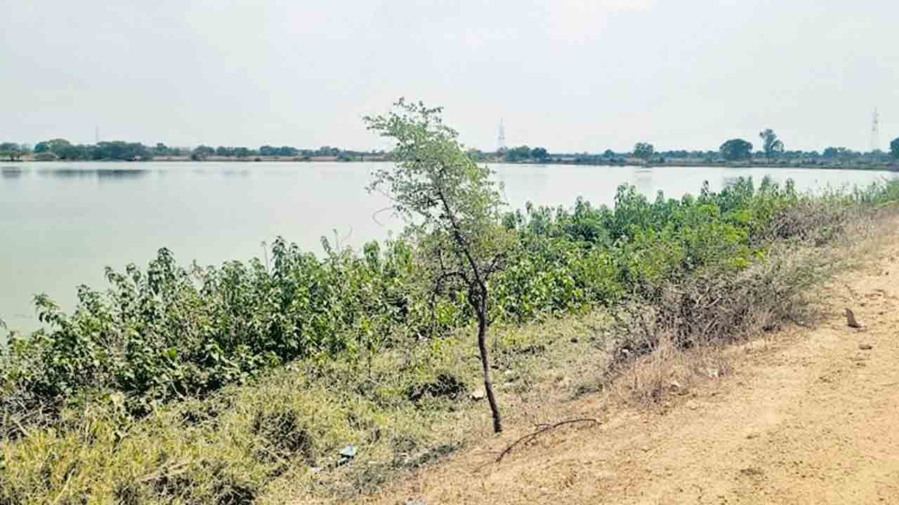 మిషన్‌ కాకతీయతో చెరువుకు జీవం