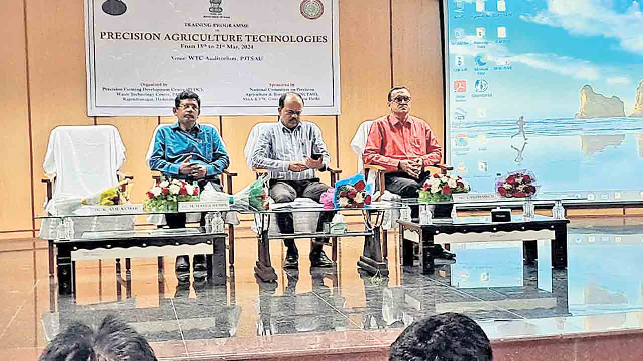 నేల చల్లబడ్డాక సాగు చేయాలి