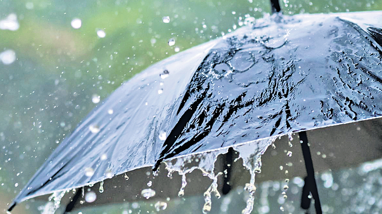 Rain Update | నాలుగు రోజులు మోస్తరు వానలు.. పలు జిల్లాలకు ఎల్లో అలర్ట్‌ జారీ