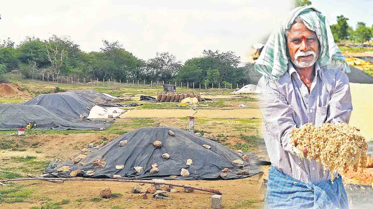 ధాన్యం కొనుగోళ్లపై నిర్లక్ష్యం