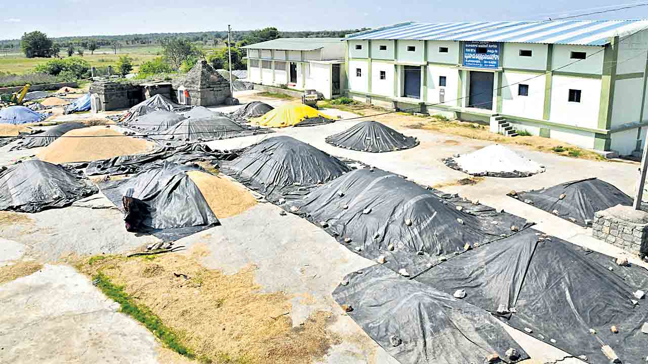 కేంద్రాల్లో మొలకెత్తుతున్న వడ్లు