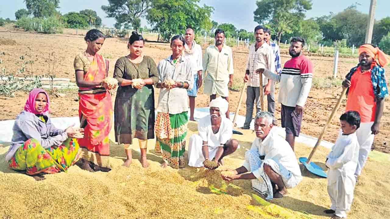ధ్యాన్యం.. దైన్యం