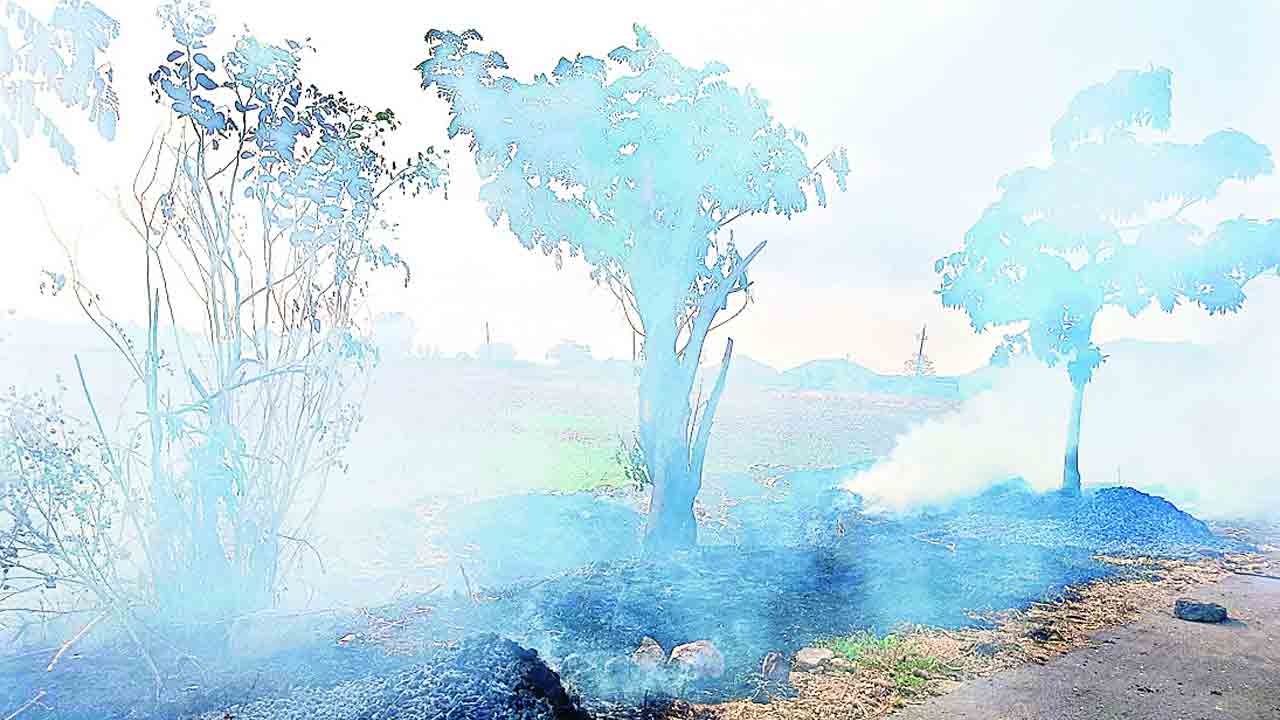 అగ్నికి హరితహారం చెట్లు ఆహుతి