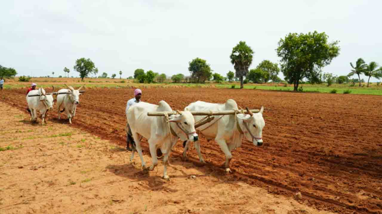 సాగుకు సన్నద్ధం