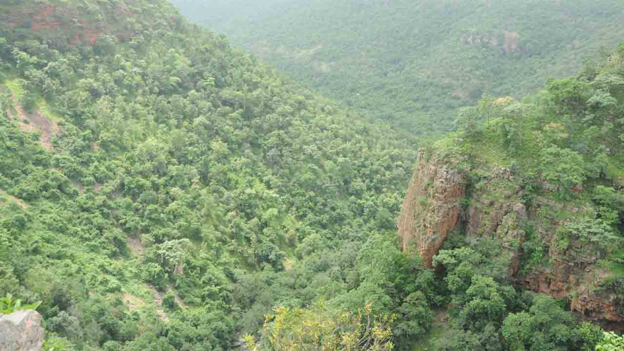 ఏటీఆర్‌లో వన్యప్రాణుల గణన