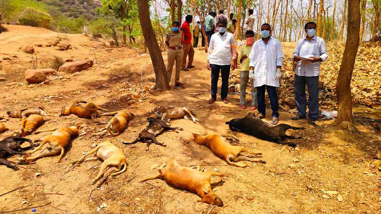 జానంపేటలో కలకలం