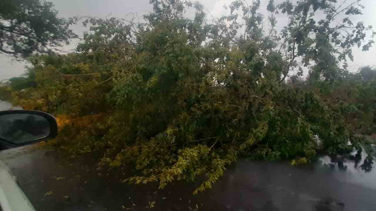 గాలివాన బీభత్సం