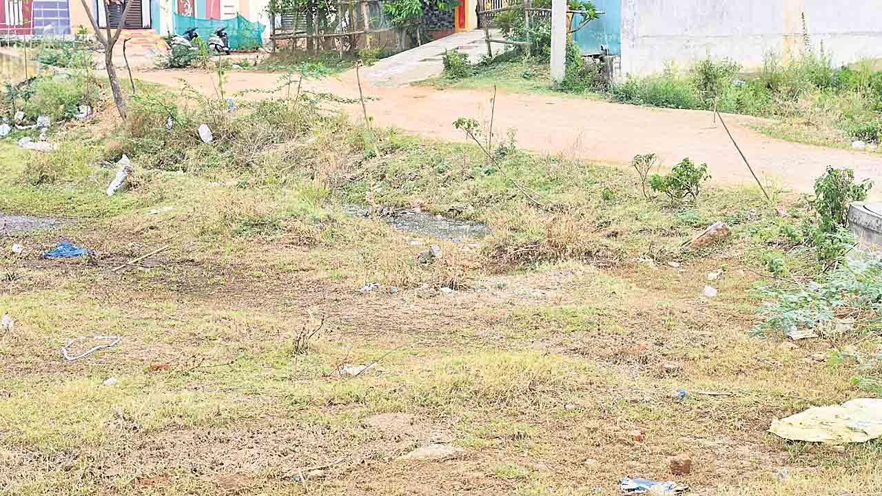 హరితహారం వ్యథ భరితం