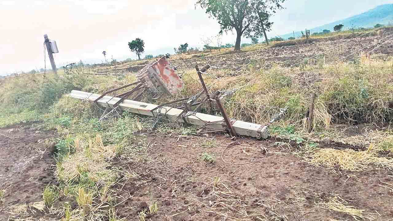 గాలి వాన బీభత్సం