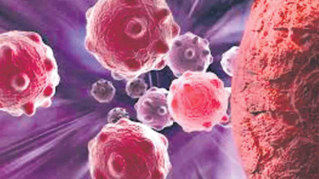 Cancer | అరుదైన క్యాన్సర్‌ను గుర్తించిన స్టార్‌ హాస్పిటల్స్‌