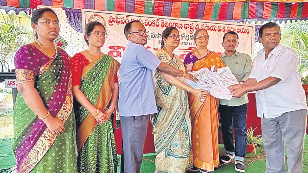 మేలైన విత్తనాలతో అధిక దిగుబడులు