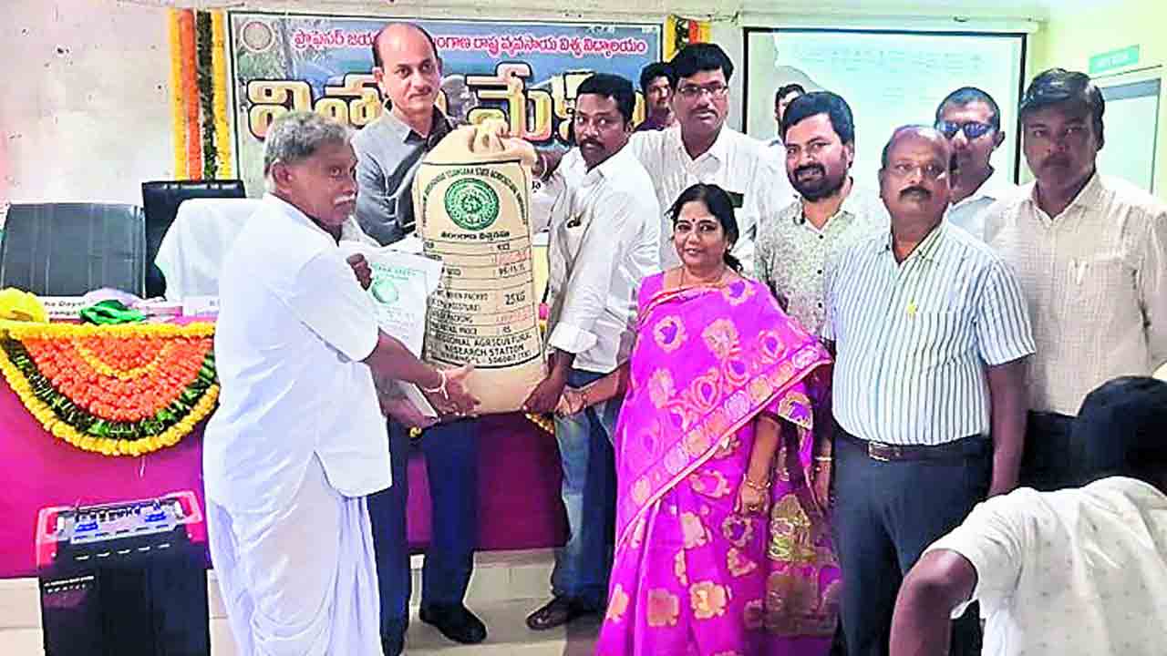 వానకాలం.. వరి రకాలు