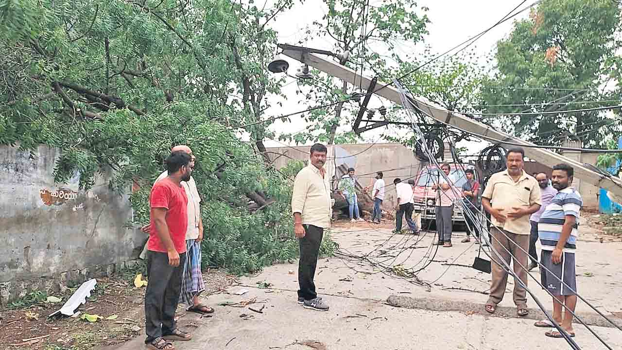 ఉసురు తీసిన వాన