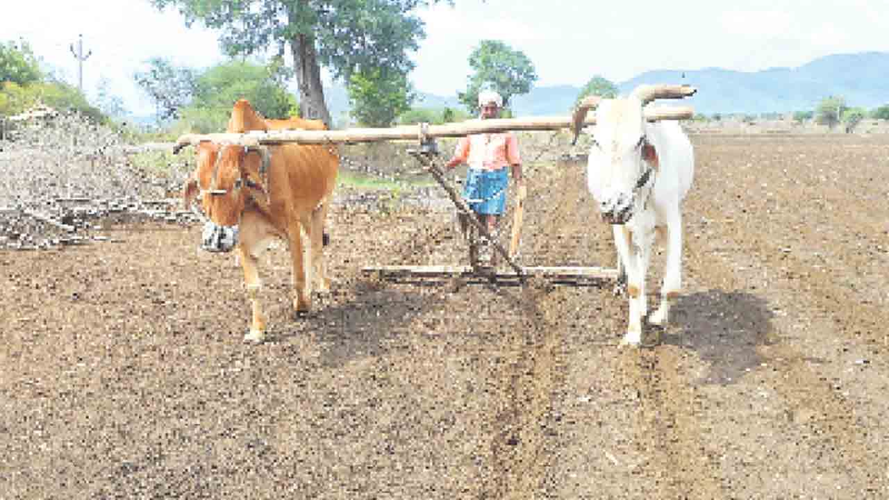 జిల్లా సాగు ప్రణాళిక ఖరారు