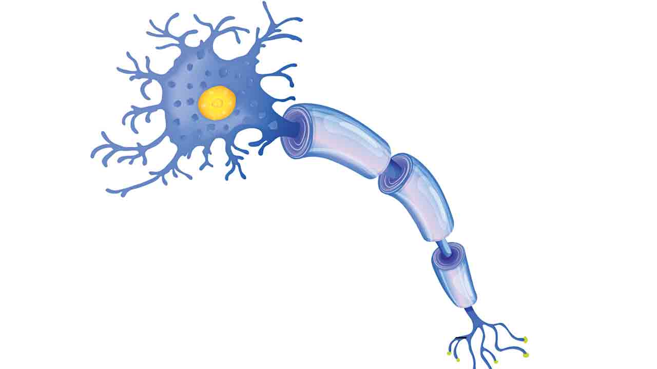 నాడీ వ్యవస్థను పీడించే మర్టిపుల్‌ స్ల్కిరోసిస్‌