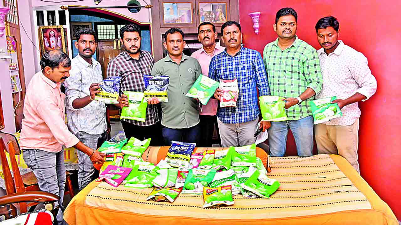 విత్తన అక్రమ నిల్వలపై దాడులు