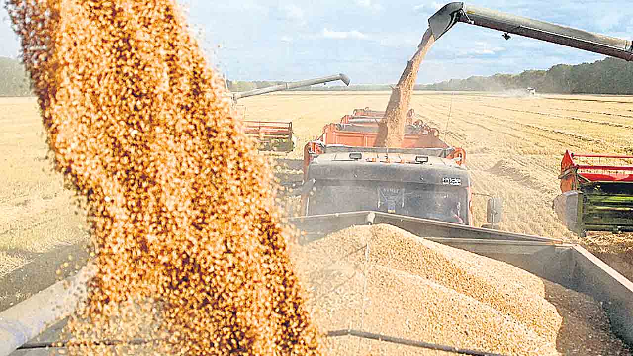 India | తిండి కోసం దిక్కులు.. దిగుమతులు లేనిదే గడవని దుస్థితికి దేశం