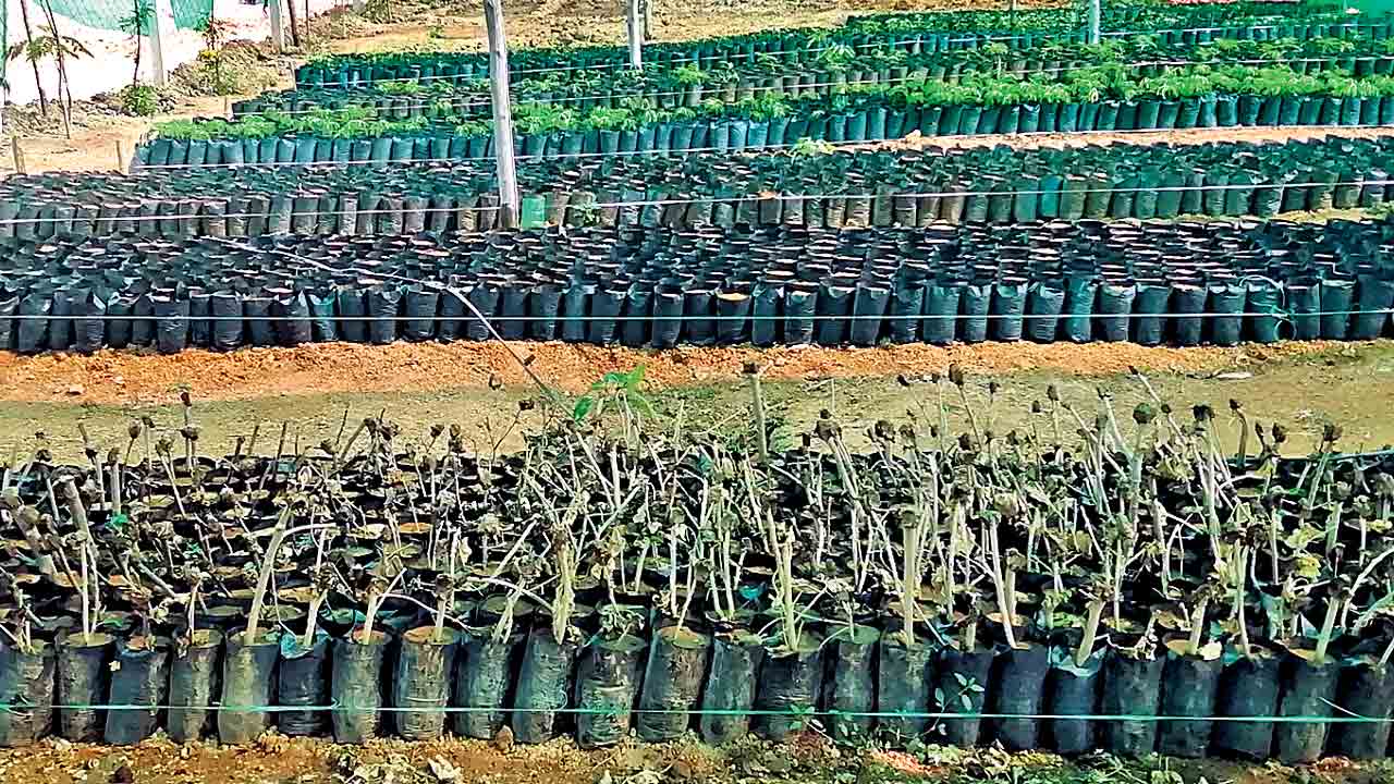 పేరుమార్చి.. నీరుగార్చి..