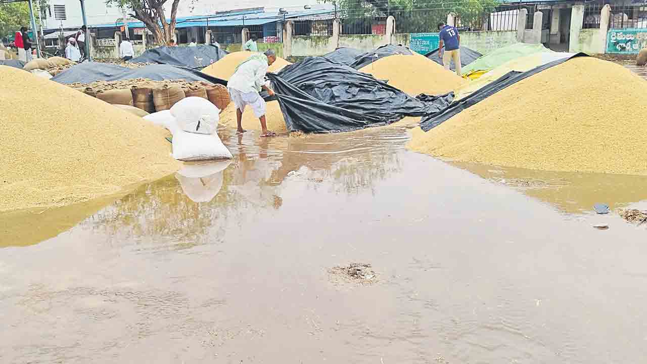 తడిసిన ధాన్యం కొనాలె
