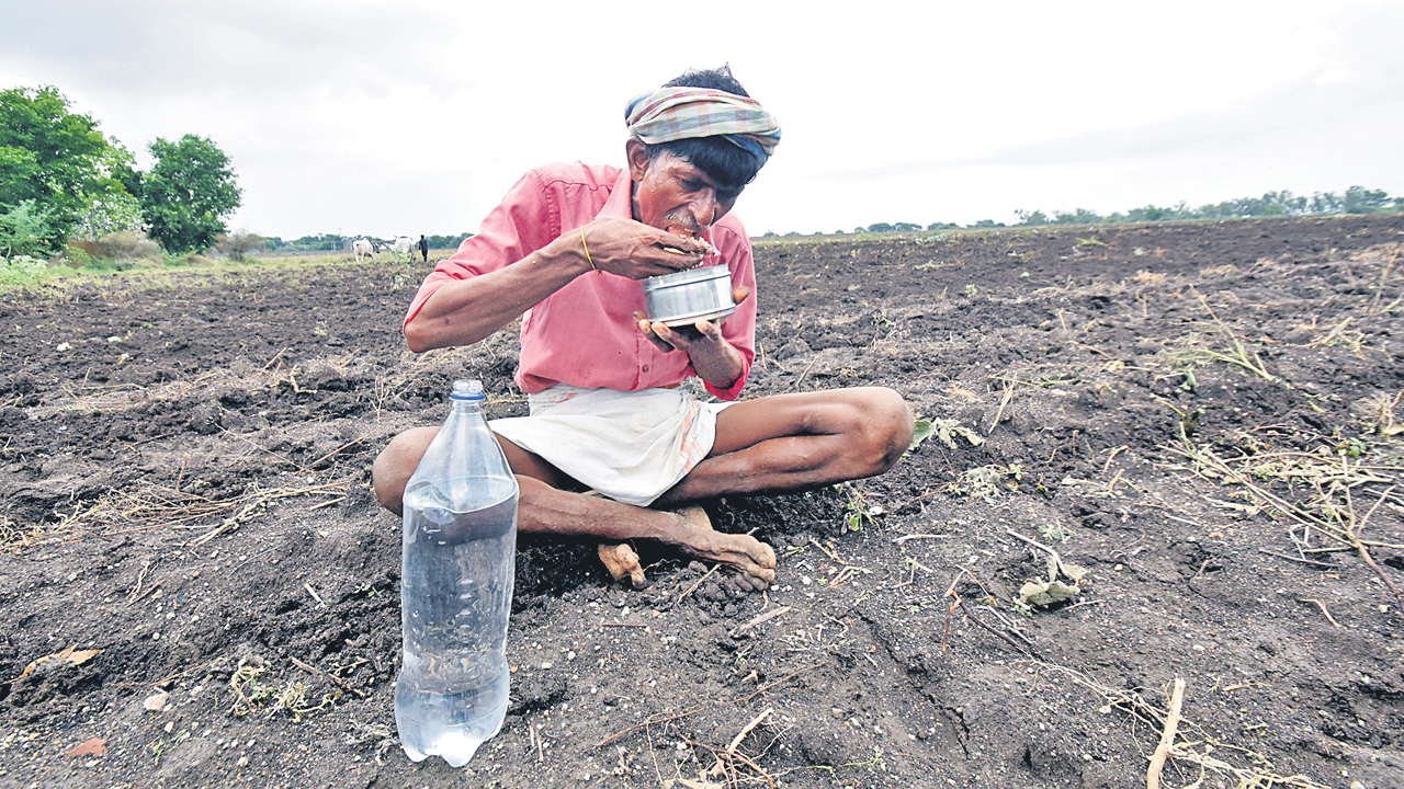 వానకాలం ప్రణళిక రెడీ