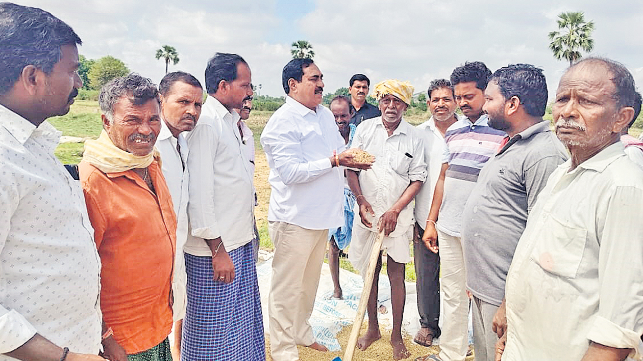 తడిసిన ధాన్యాన్ని ప్రభుత్వమే కొనాలి