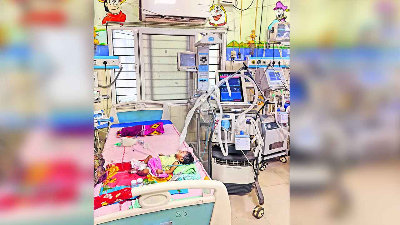 ఉక్కపోతతో ఉక్కిరిబిక్కిరి