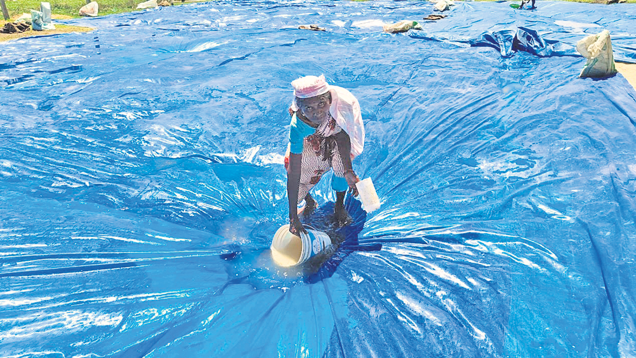 Farmers | ఎండబోస్తూ ఎత్తిపోస్తూ.. అకాల వర్షాలతో నిలిచిన ధాన్యం కొనుగోళ్లు