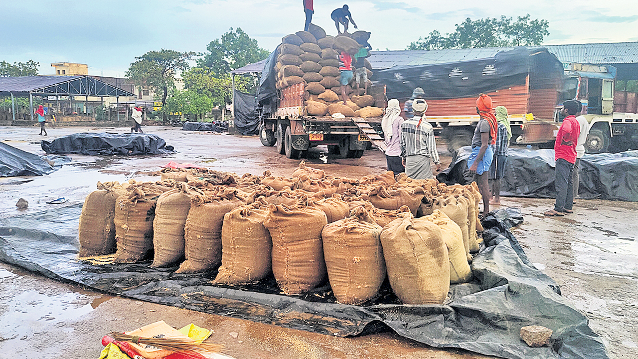 పాలమూరులో భారీ వర్షం