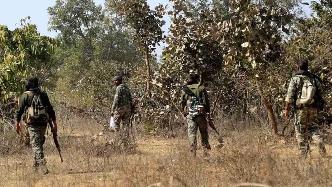 12 మంది మావోయిస్టుల మృతదేహాలు స్వాధీనం