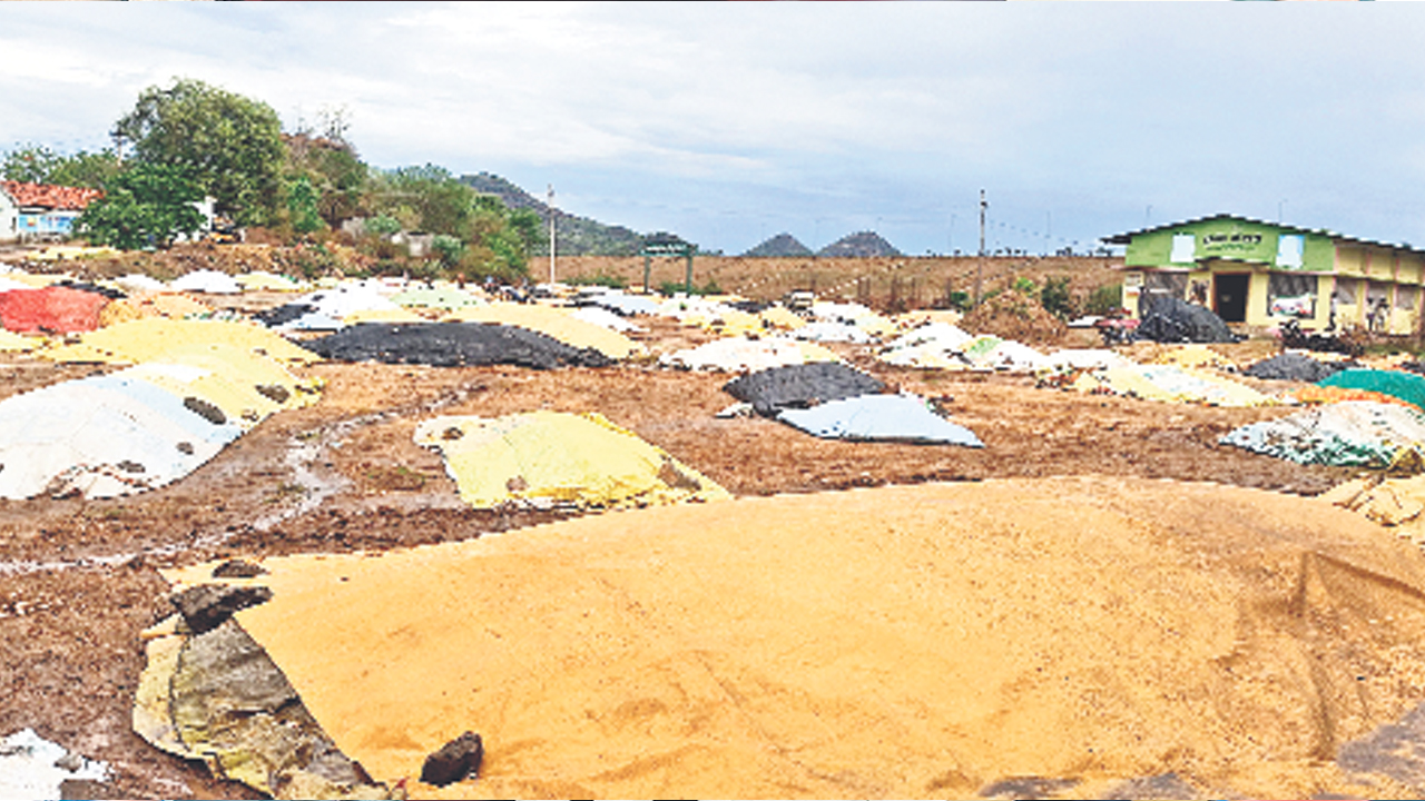 ధాన్యం రైతు అరిగోస