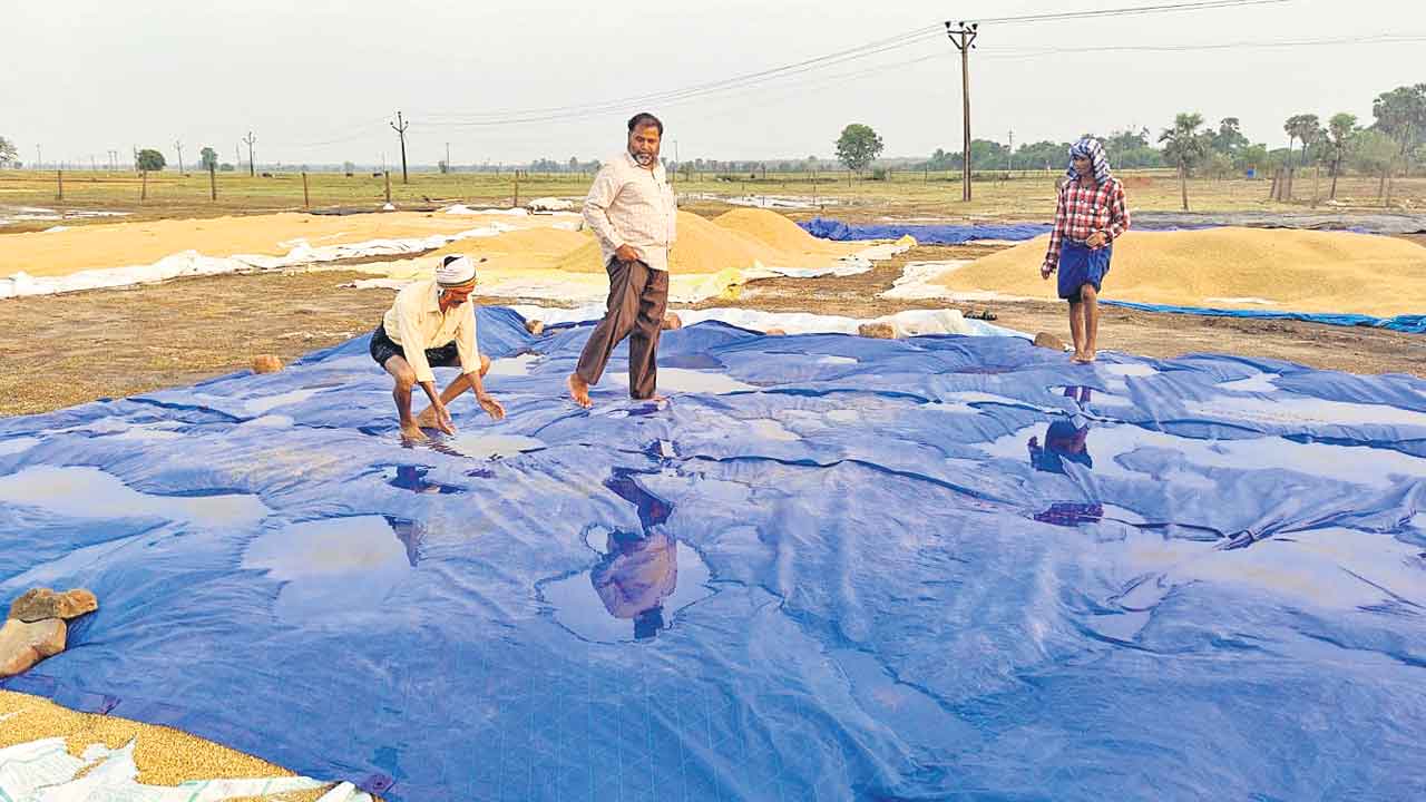 గాలివాన బీభత్సం