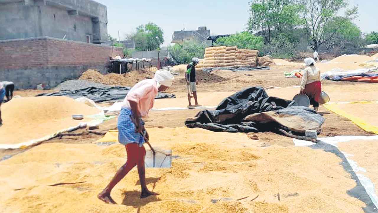 రైతన్నకు తీరని దుఃఖం