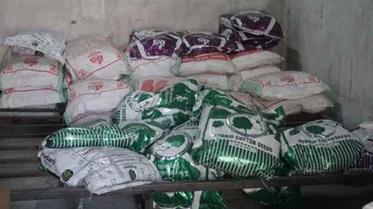 నకిలీ పత్తి విత్తనాల ముఠా గుట్టురట్టు