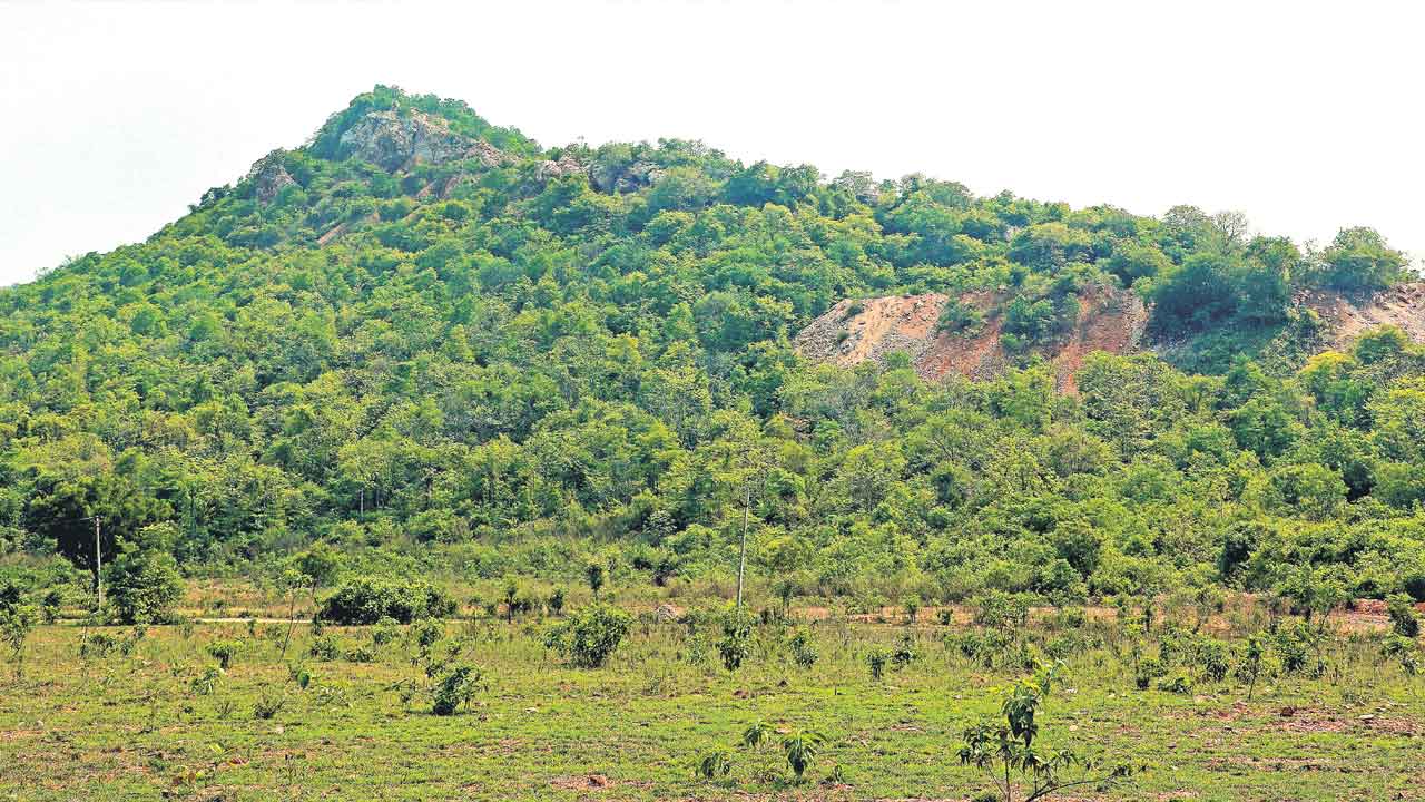 తెలంగాణ ఖనిజం ఆంధ్రాకు