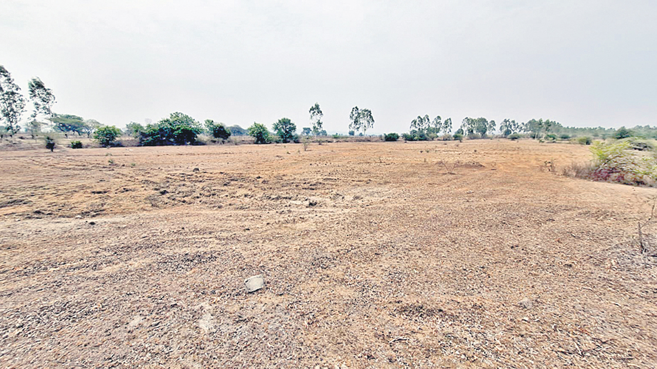 నాడు పచ్చల హరం నేడు కళావిహినం