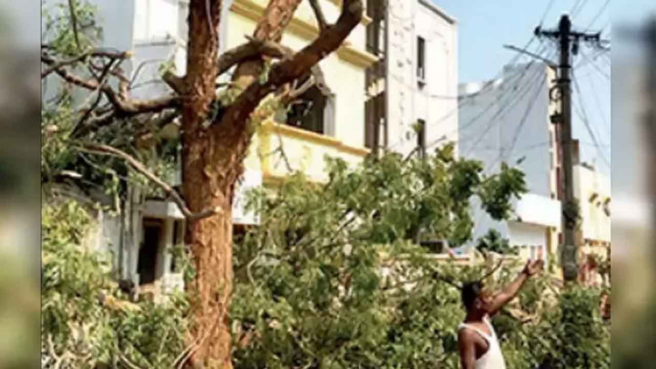 చెట్లు నరికినందుకు విద్యుత్‌ శాఖకు నోటీసు