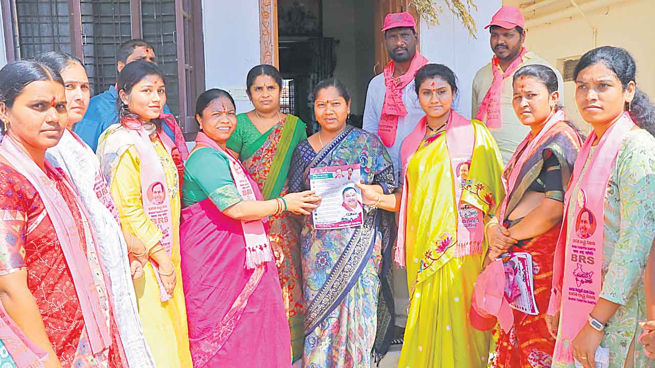 కాసానిని గేలిపించండి