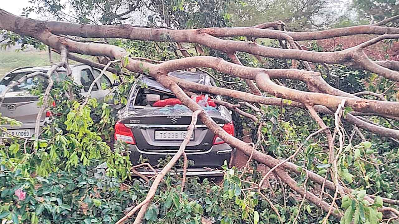 గాలివాన బీభత్సం