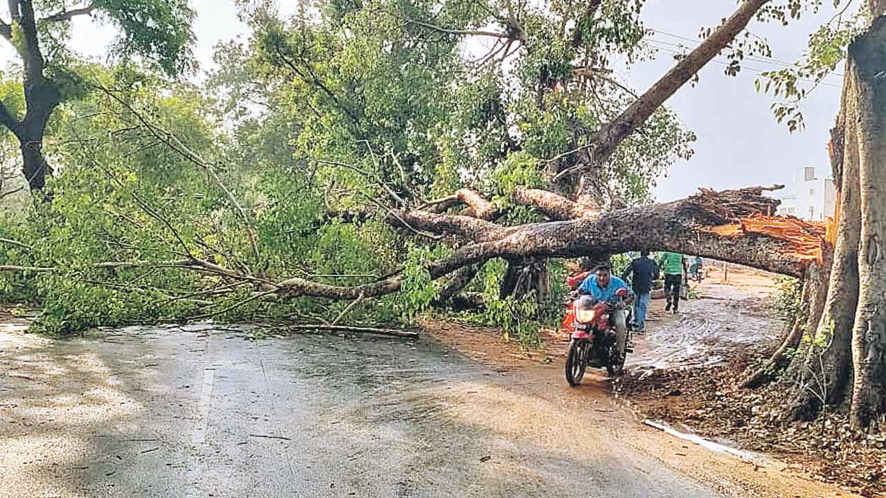 Record rain | వేసవిలో రికార్డు వాన.. హైదరాబాద్‌ వాతావరణశాఖ వెల్లడి