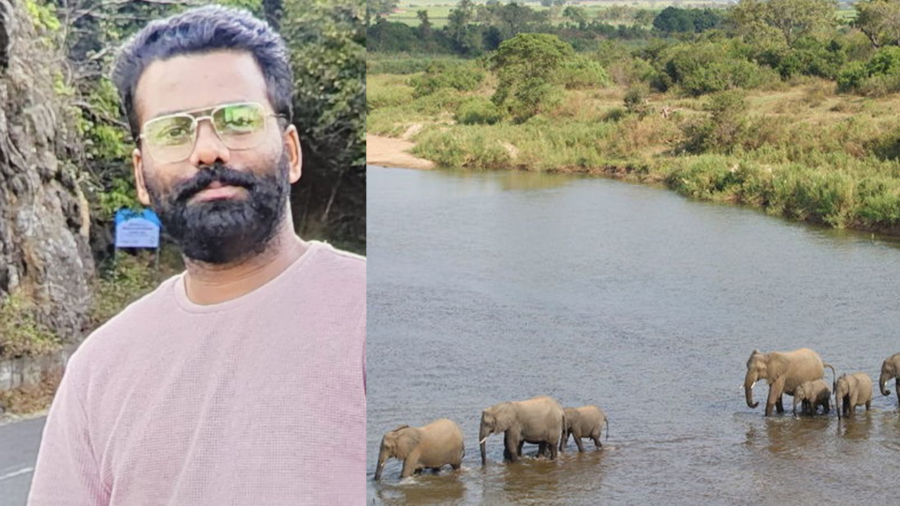 Journalist died | అడవి ఏనుగు దాడిలో వీడియో జర్నలిస్టు మృతి