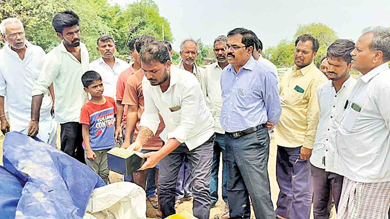 ప్రతిగింజా కొనుగోలు చేస్తాం