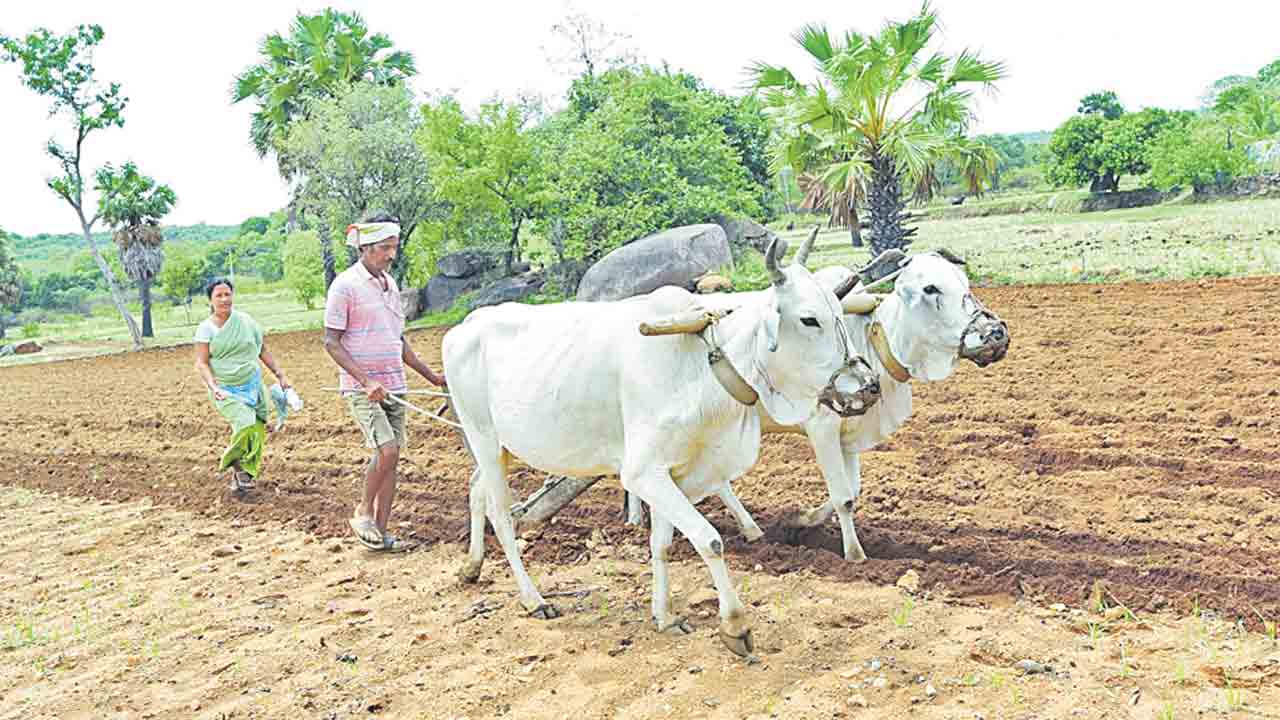 Crop Loan | అన్నదాతకు తీపి కబురు.. వచ్చే నెల నుంచి తాకట్టు లేకుండా రూ.2లక్షల లోన్ మంజూరు..!