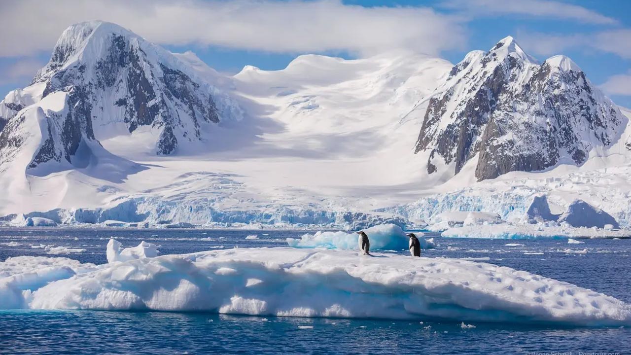 Antarctica | అంటార్కిటికా నుంచి వేరుపడ్డ భారీ మంచుకొండ.. ఢిల్లీ వైశాల్యంతో పోల్చితే 4 రెట్లు ఎక్కువ