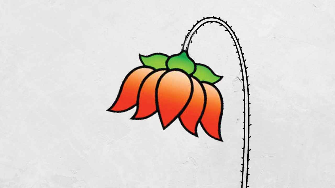 బీజేపీకి మ్యాజిక్‌ ఫికర్‌!