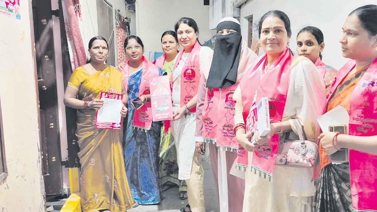 జహీరాబాద్‌ గడ్డపై రెపరెపలాడేది గులాబీ జెండానే..