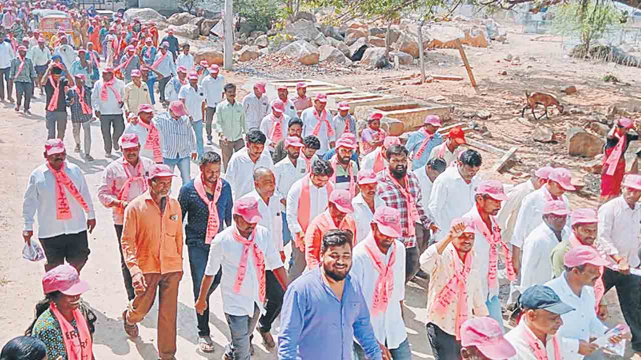 గులాబీ దూకుడు