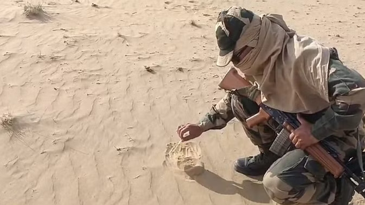 Viral Video | మండుటెండల్లో ఇసుకలో పాపడ్‌ వేయించిన సైనికుడు.. వీడియో వైరల్‌..