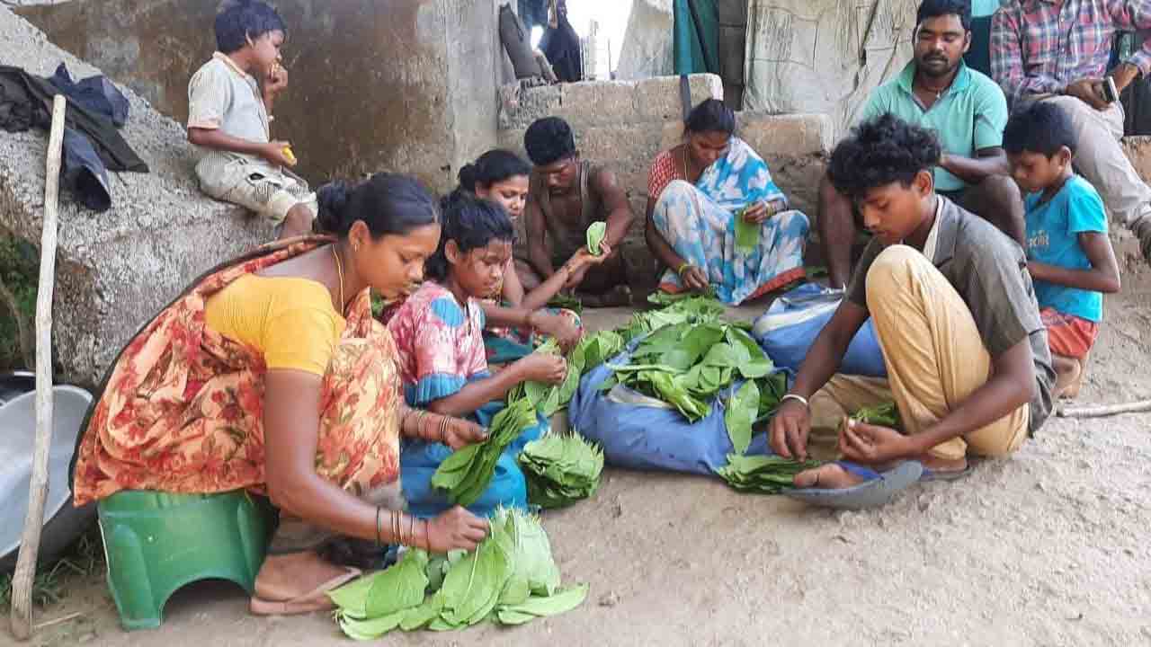 తునికాకు జాతర